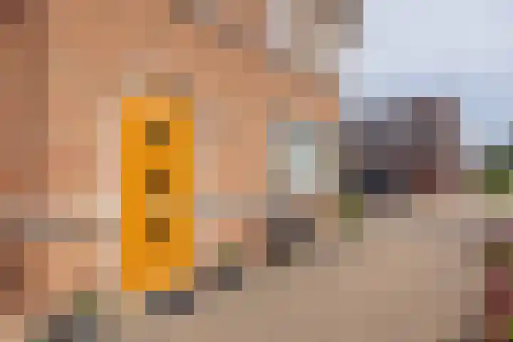 Boekelose Stoomblekerij 92 Enschede thumbnail 7