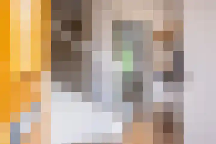 Boekelose Stoomblekerij 92 Enschede thumbnail 8
