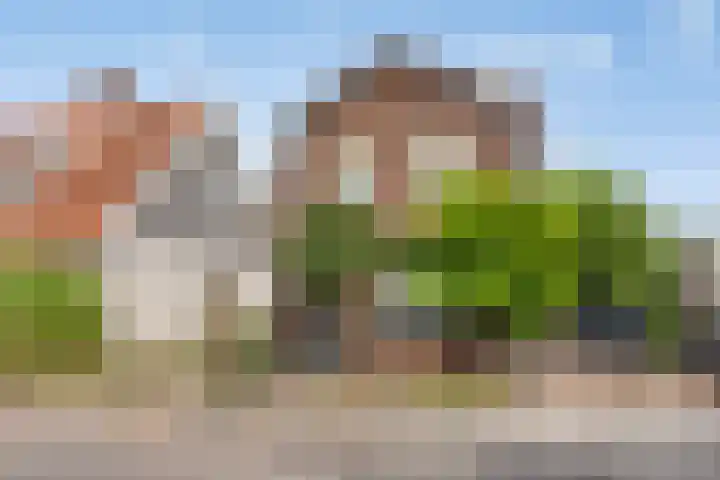 Boekeloseweg 75 Hengelo thumbnail 33