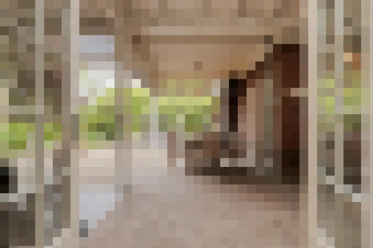 Boekelsedijk 11 Zeeland thumbnail 18