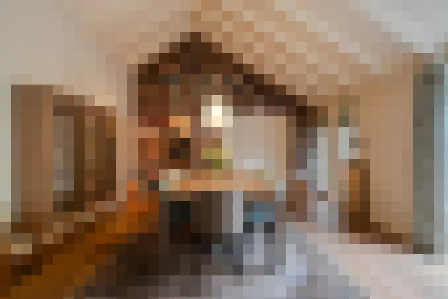 Boekelsedijk 11 Zeeland thumbnail 31