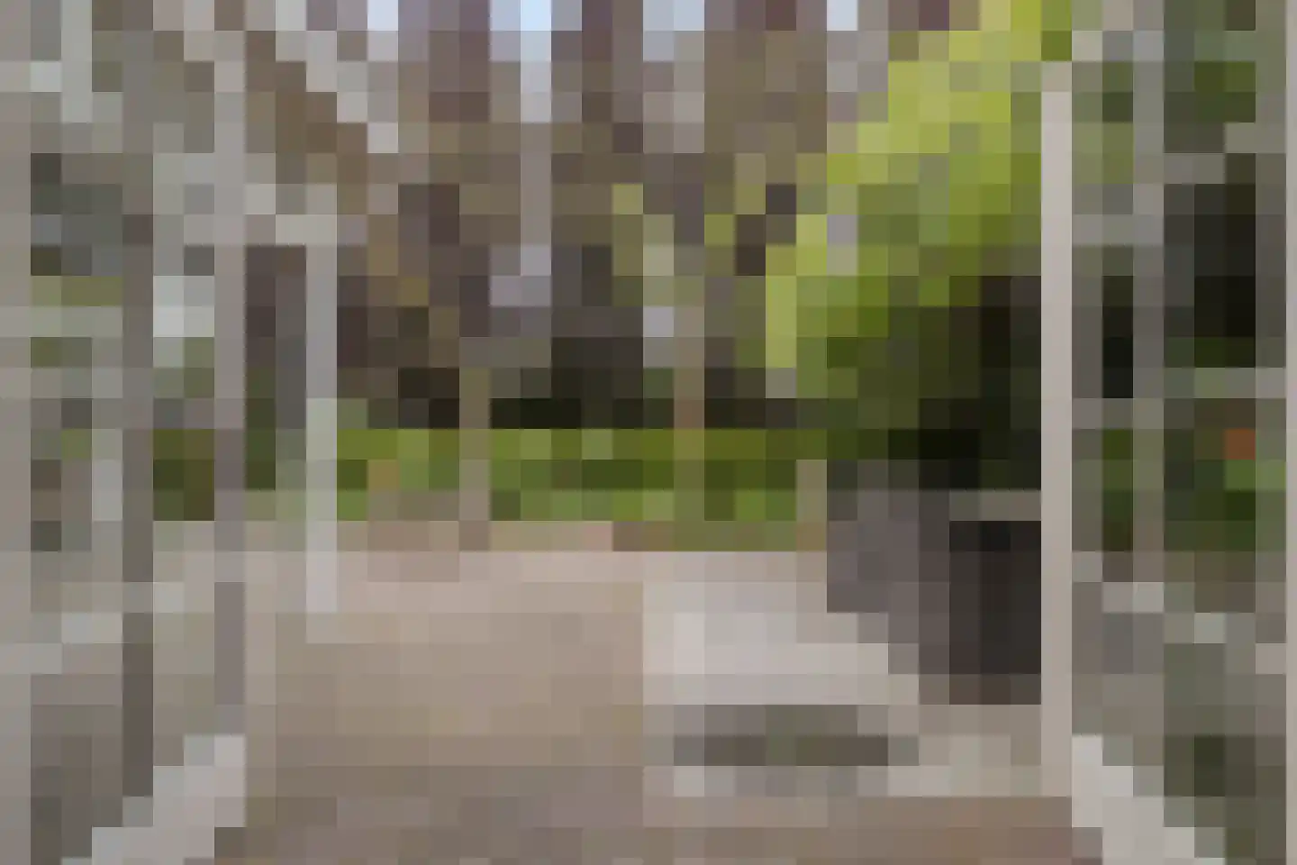 Boekelsedijk 11 Zeeland thumbnail 33