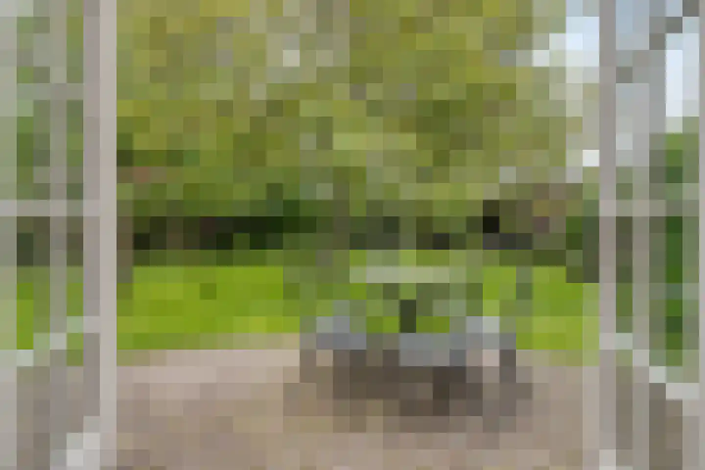 Boekelsedijk 11 Zeeland thumbnail 37