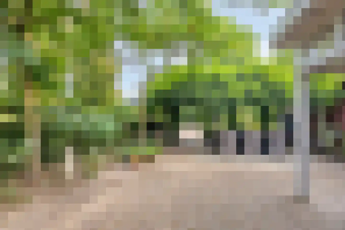 Boekelsedijk 11 Zeeland thumbnail 50