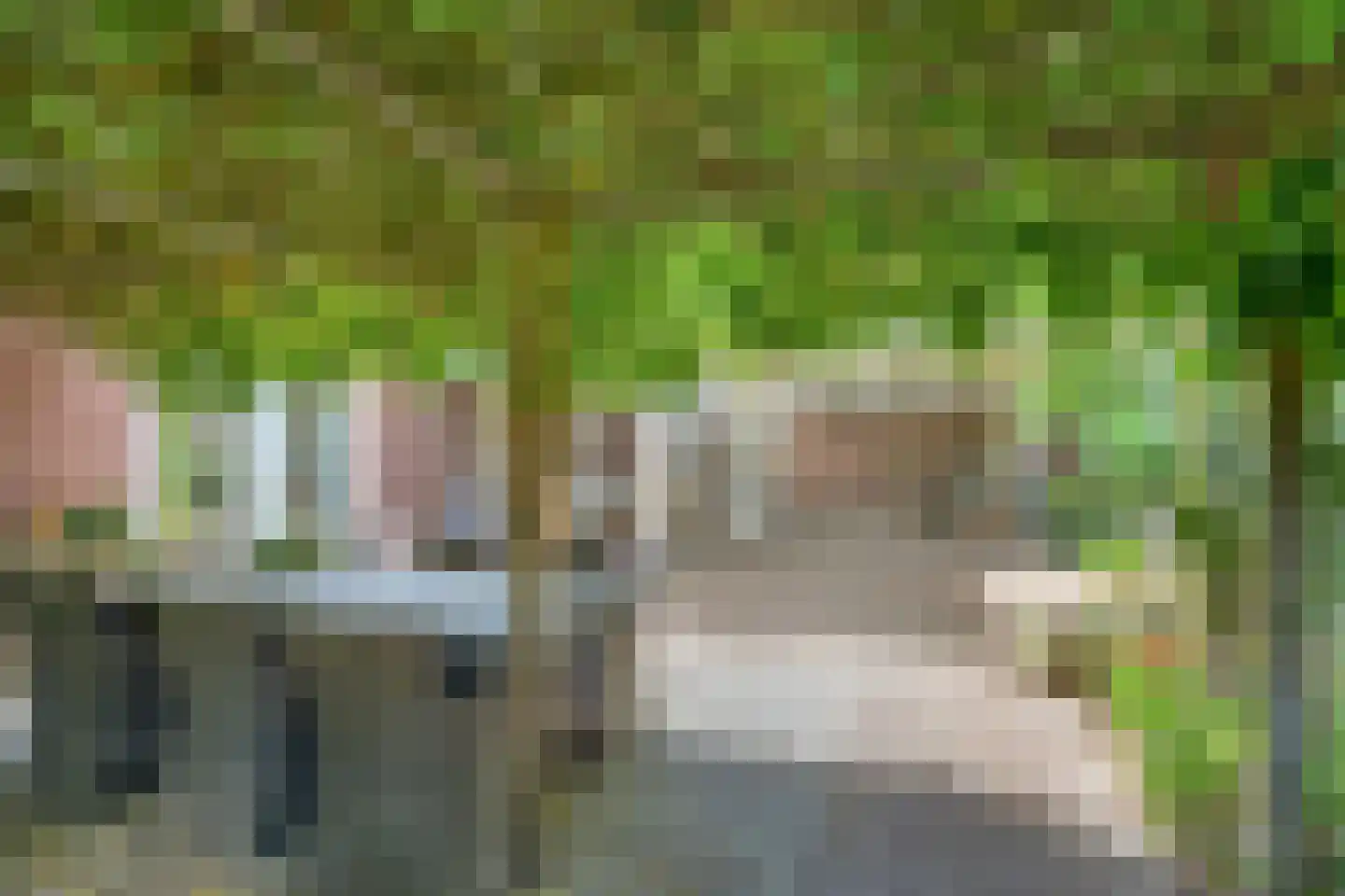 Boekelsedijk 11 Zeeland thumbnail 51