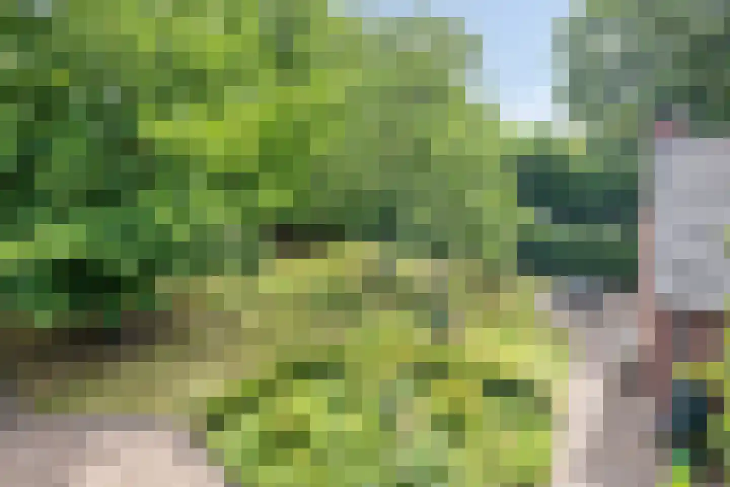 Boekelsedijk 11 Zeeland thumbnail 53