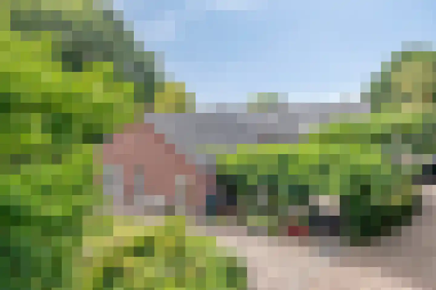 Boekelsedijk 11 Zeeland thumbnail 54