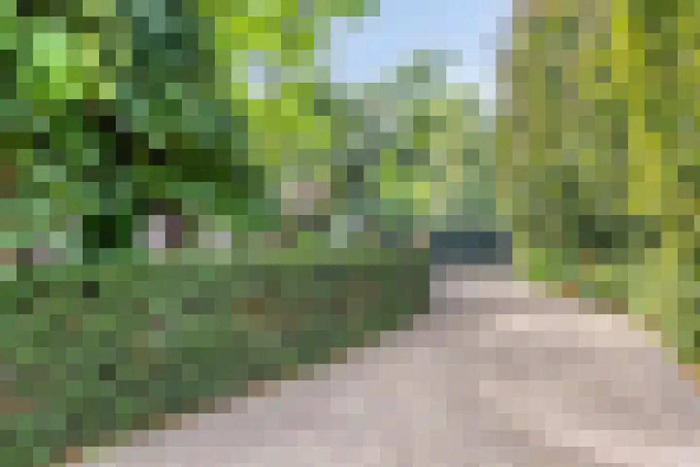 Boekelsedijk 11 Zeeland thumbnail 55