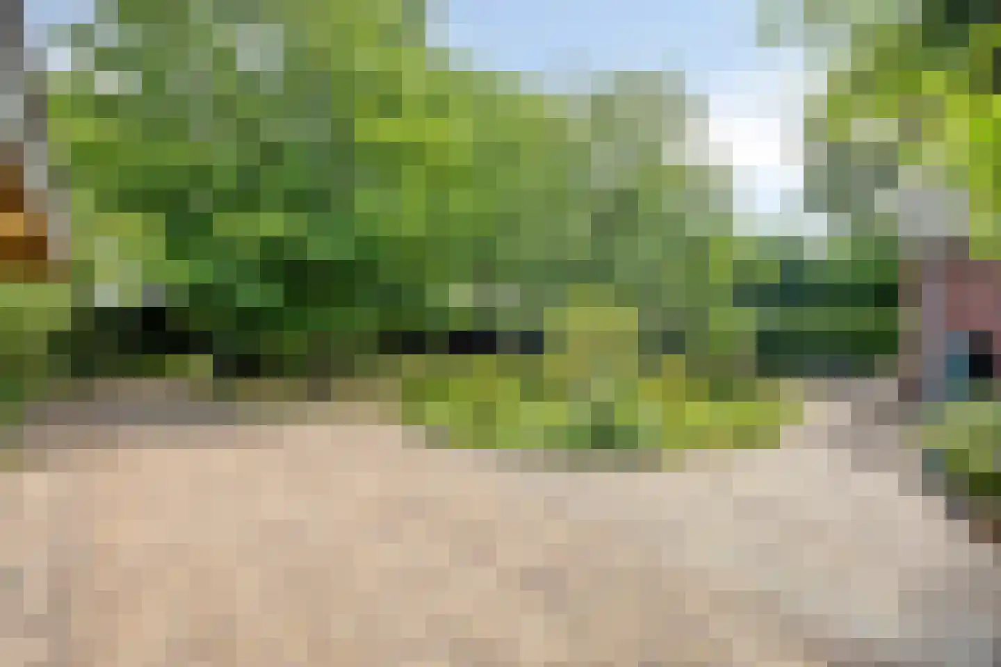Boekelsedijk 11 Zeeland thumbnail 56