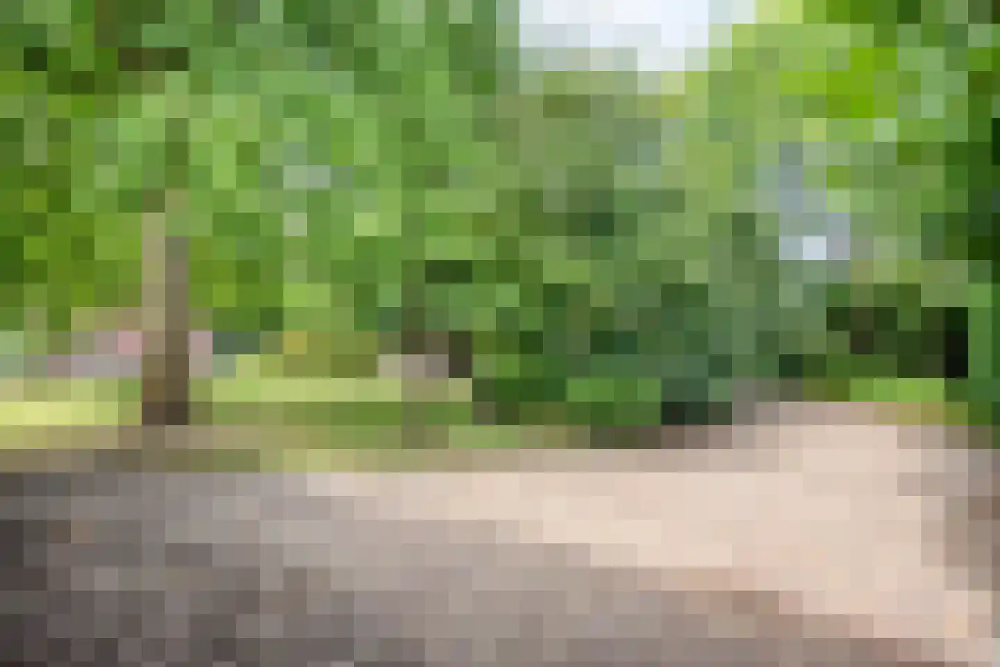 Boekelsedijk 11 Zeeland thumbnail 57