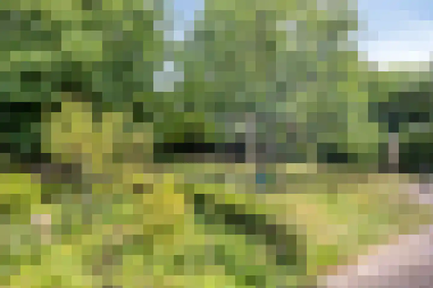 Boekelsedijk 11 Zeeland thumbnail 61