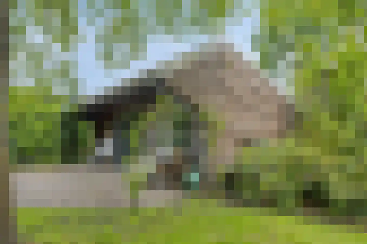 Boekelsedijk 11 Zeeland thumbnail 64