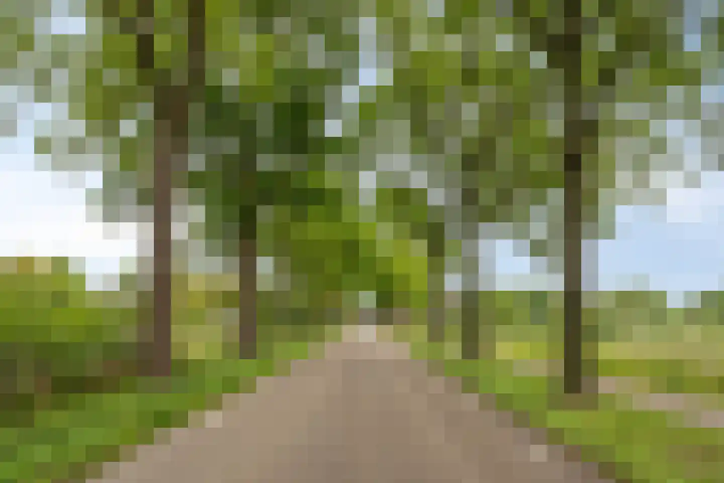 Boekelsedijk 11 Zeeland thumbnail 67
