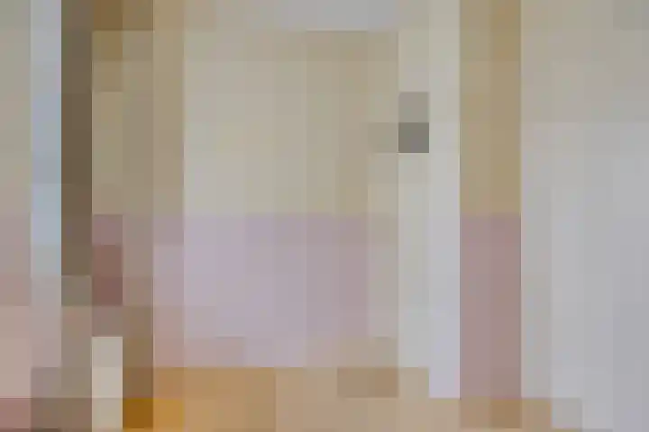 Boekelsedijk 27 Volkel thumbnail 20