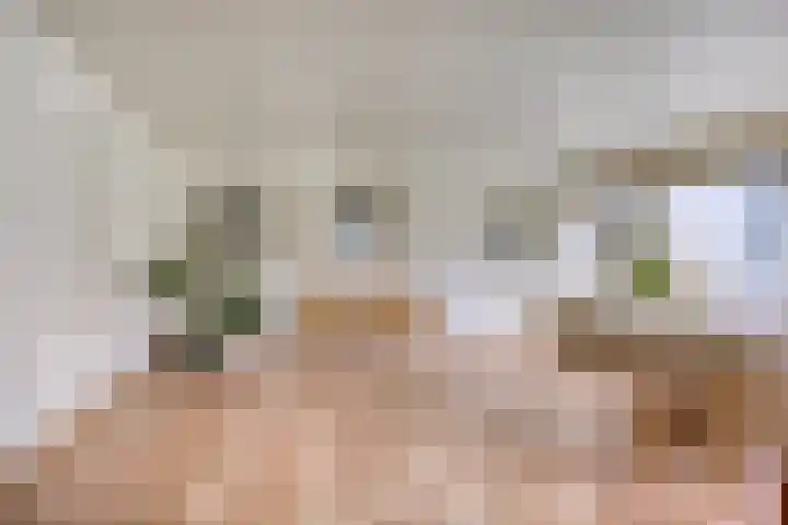 Boekelsedijk 27 Volkel thumbnail 22