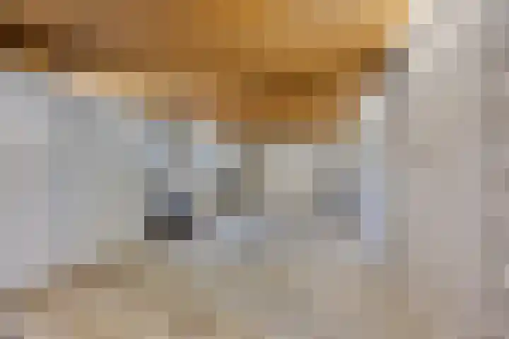 Boekelsedijk 27 Volkel thumbnail 31