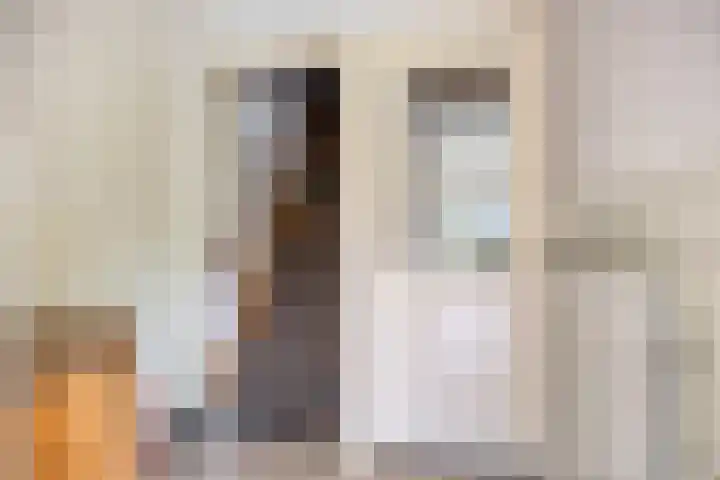 Boekelsedijk 27 Volkel thumbnail 33