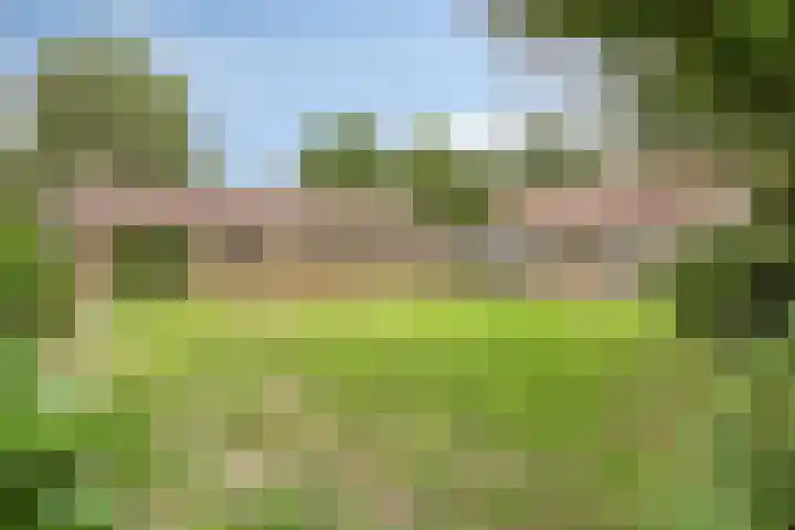 Boekelsedijk 27 Volkel thumbnail 41