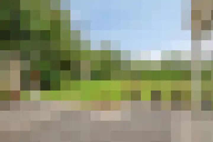 Boekelsedijk 27 Volkel thumbnail 42