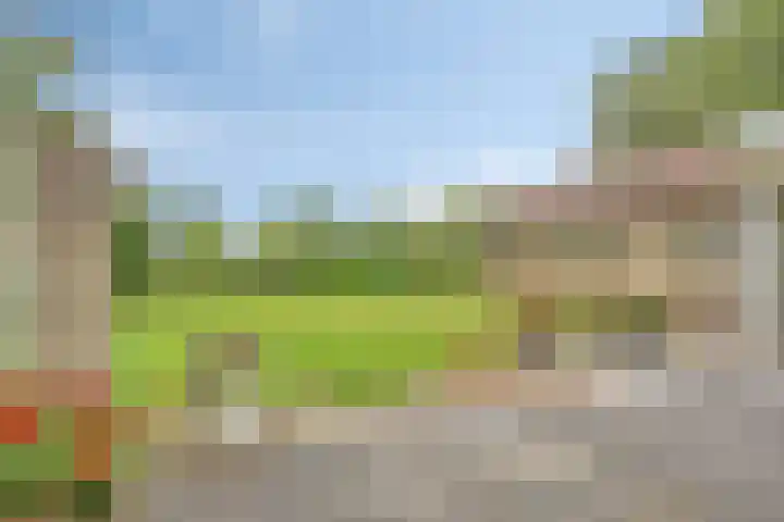 Boekelsedijk 27 Volkel thumbnail 43