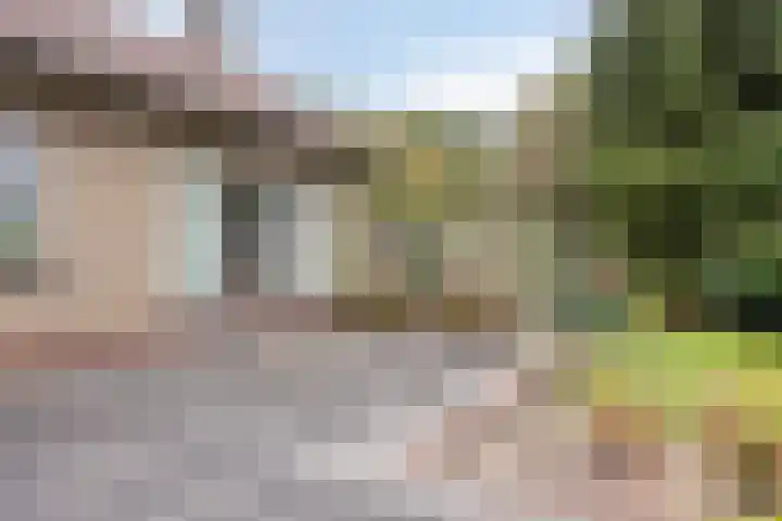 Boekelsedijk 27 Volkel thumbnail 44