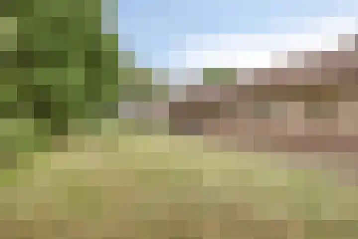 Boekelsedijk 27 Volkel thumbnail 46