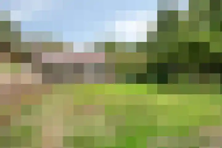 Boekelsedijk 27 Volkel thumbnail 47