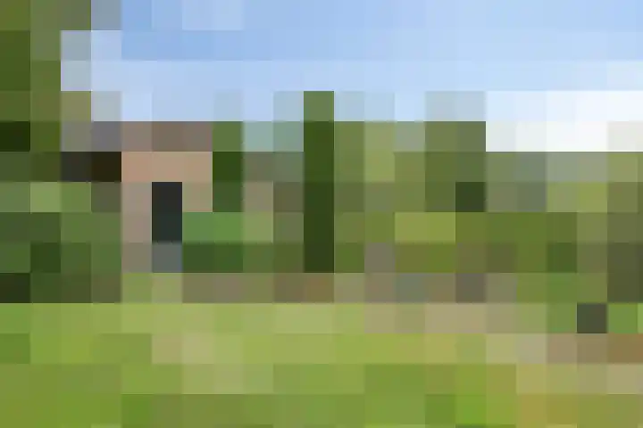Boekelsedijk 27 Volkel thumbnail 50