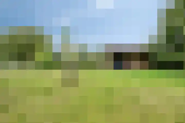 Boekelsedijk 27 Volkel thumbnail 51