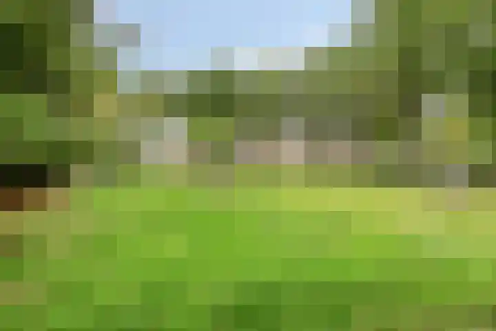 Boekelsedijk 27 Volkel thumbnail 53