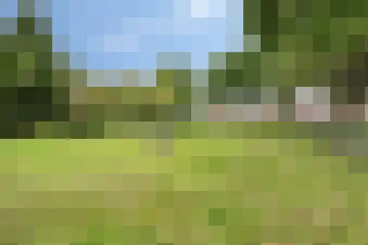 Boekelsedijk 27 Volkel thumbnail 54
