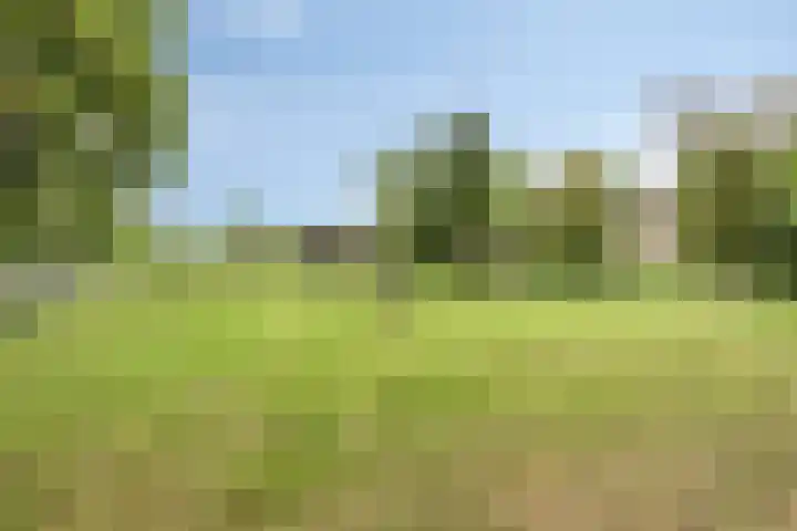 Boekelsedijk 27 Volkel thumbnail 55