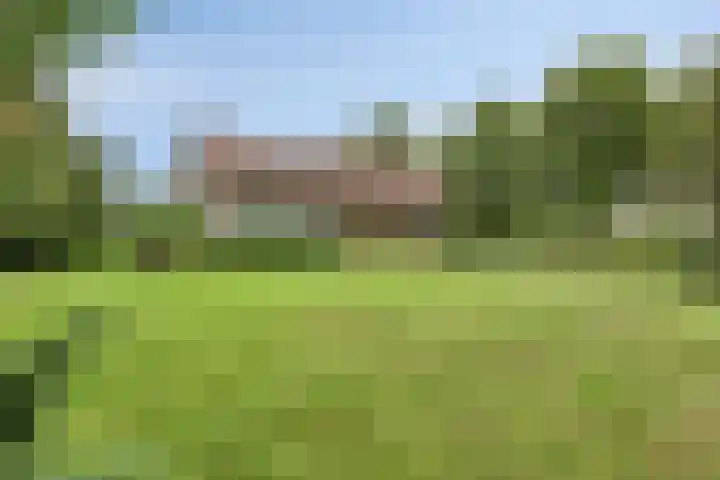 Boekelsedijk 27 Volkel thumbnail 56