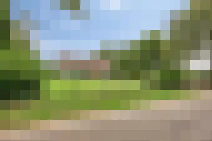 Boekelsedijk 27 Volkel thumbnail 57