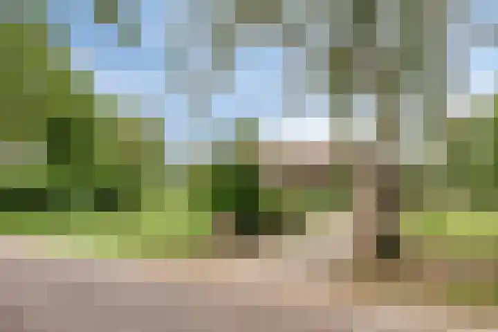 Boekelsedijk 27 Volkel thumbnail 58