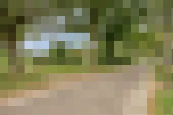 Boekelsedijk 27 Volkel thumbnail 59