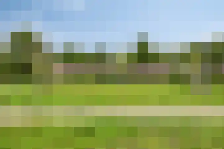 Boekelsedijk 27 Volkel thumbnail 60