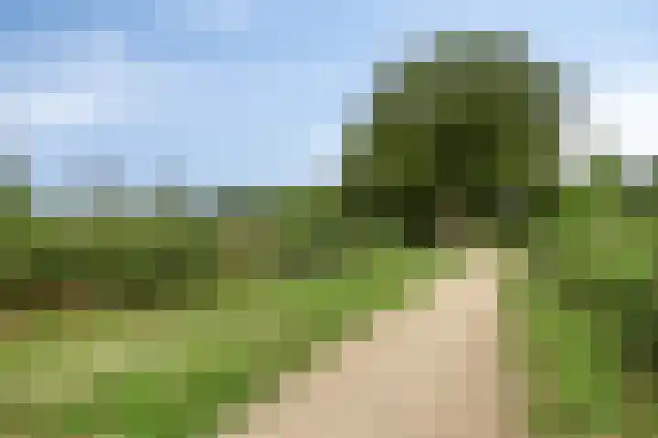 Boekelsedijk 27 Volkel thumbnail 61