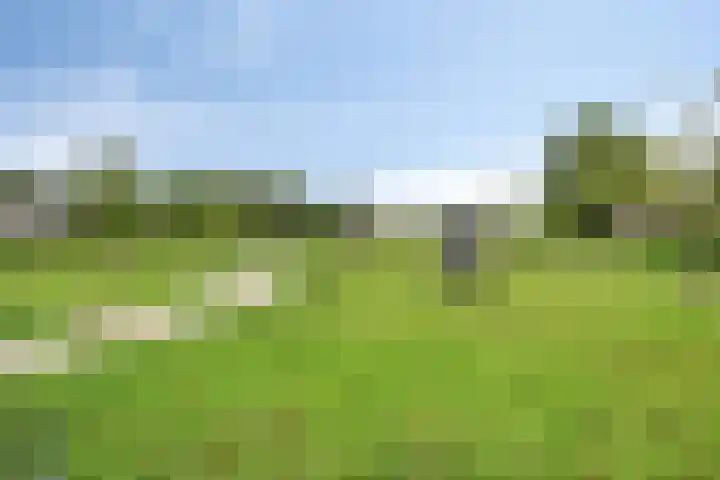 Boekelsedijk 27 Volkel thumbnail 62
