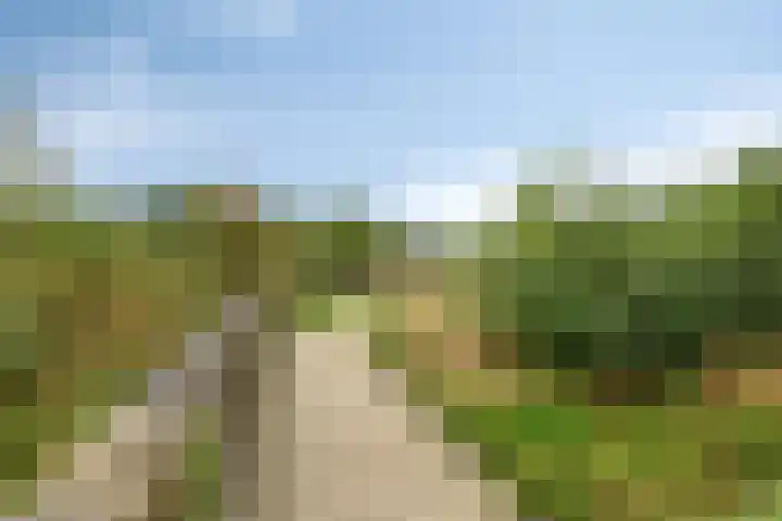 Boekelsedijk 27 Volkel thumbnail 63