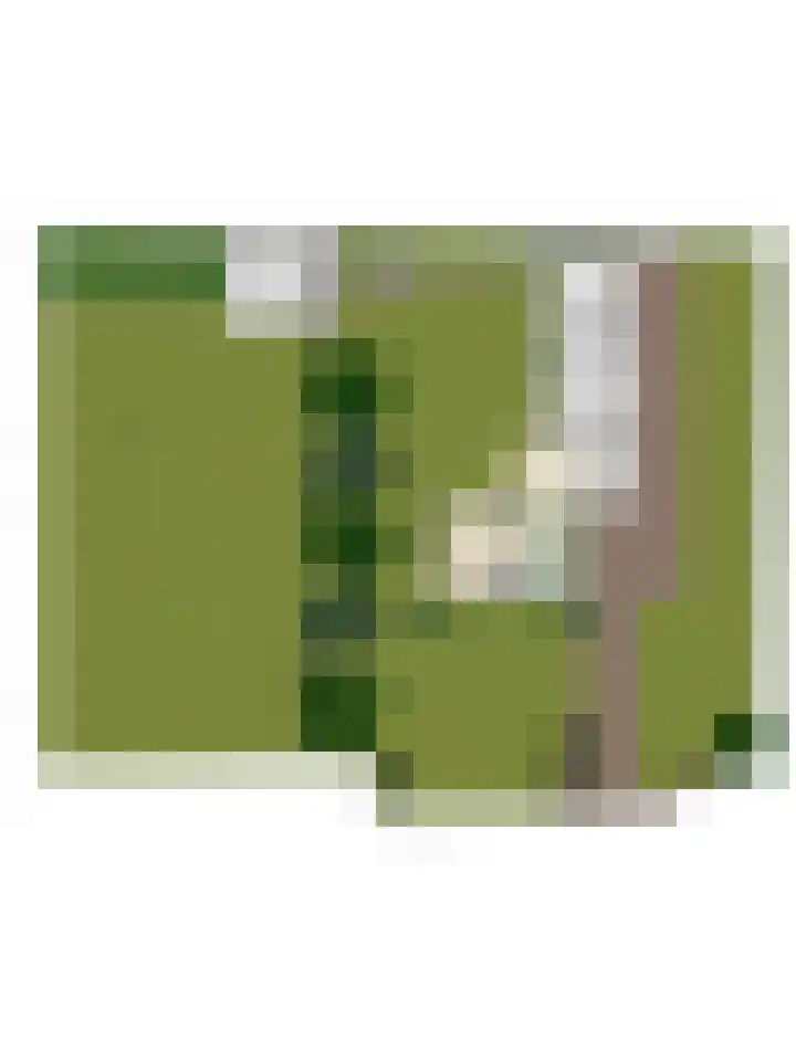 Boekelsedijk 27 Volkel thumbnail 64
