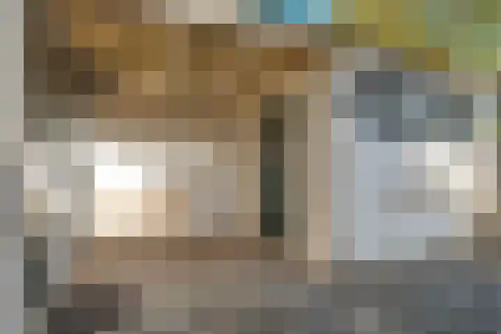 Boekelsedijk 5 Uden thumbnail 48
