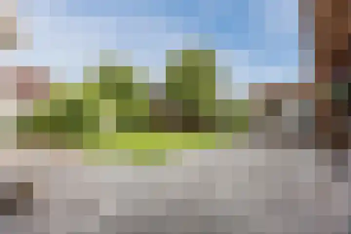 Boekelsedijk 5 Uden thumbnail 52
