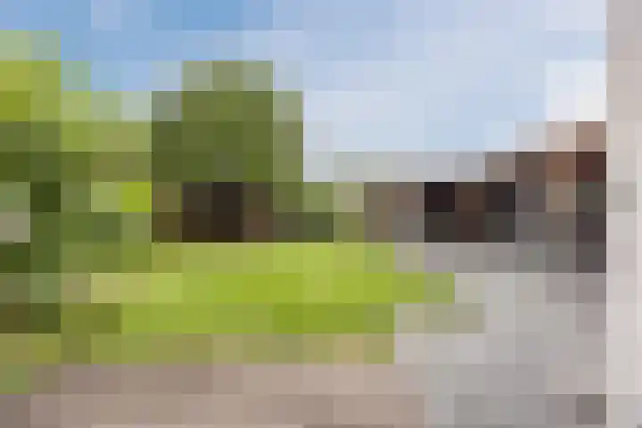 Boekelsedijk 5 Uden thumbnail 53