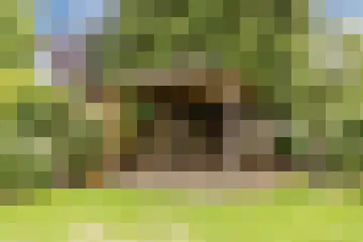 Boekelsedijk 5 Uden thumbnail 54