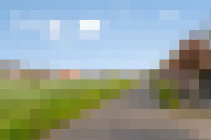 Boekelsedijk 5 Uden thumbnail 55