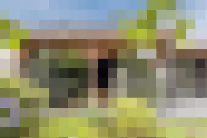 Boekelsedijk 5 Uden thumbnail 55