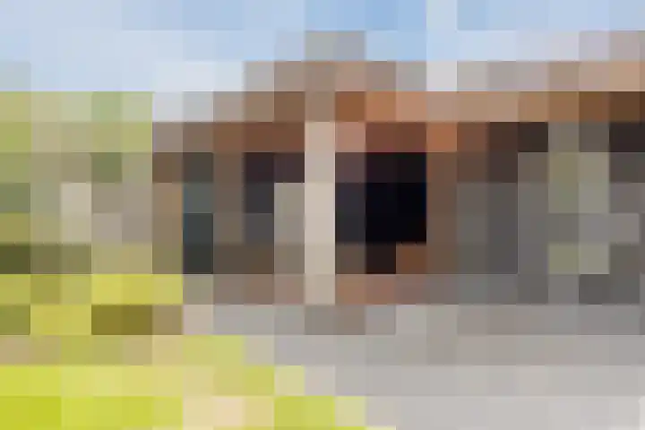 Boekelsedijk 5 Uden thumbnail 56