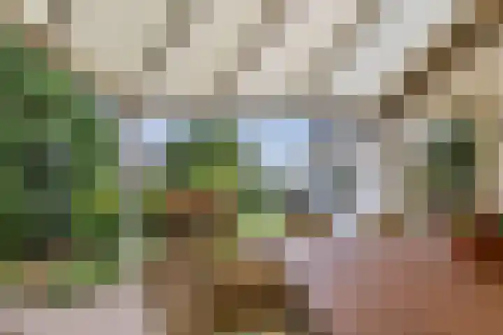 Boekelsedijk 5 Uden thumbnail 59