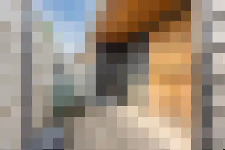 Boekelsedijk 5 Uden thumbnail 70